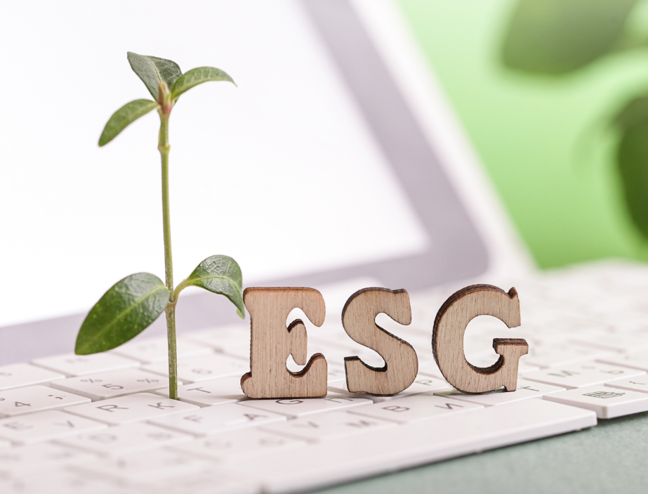 Empowering Institutional Investors with Innovative ESG Portfolio Management Solutions