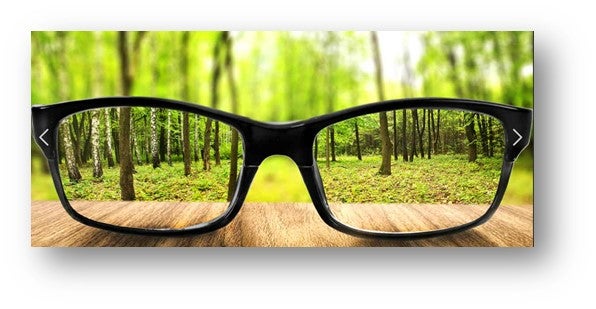 Looking Through the Business Lens at Risk