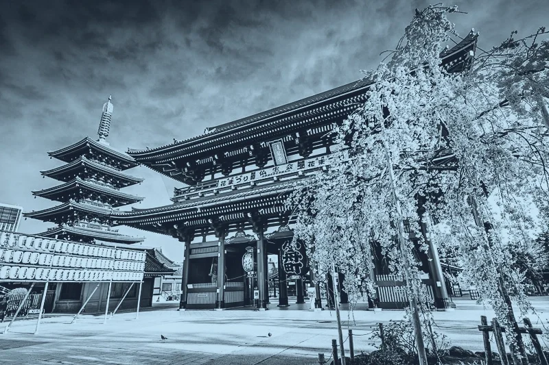 Archer Summit: Accelerate Tokyo