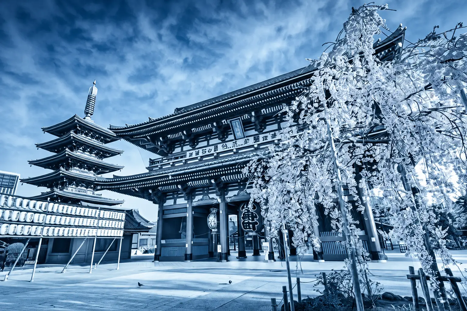 Archer Summit: Accelerate Tokyo